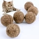 thumbnail image 5 of Gatos Natural Mint Comestible Bola Gatito Interactivo Mordedura Catnip Jugar Juguetes (01) JShteea Libre de BPA, 5 of 7