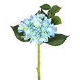 thumbnail image 1 of Vickerman 15" Short Stem Artificial Blue Hydrangea Featuring 2 Blossoms (3 per pack), 1 of 3