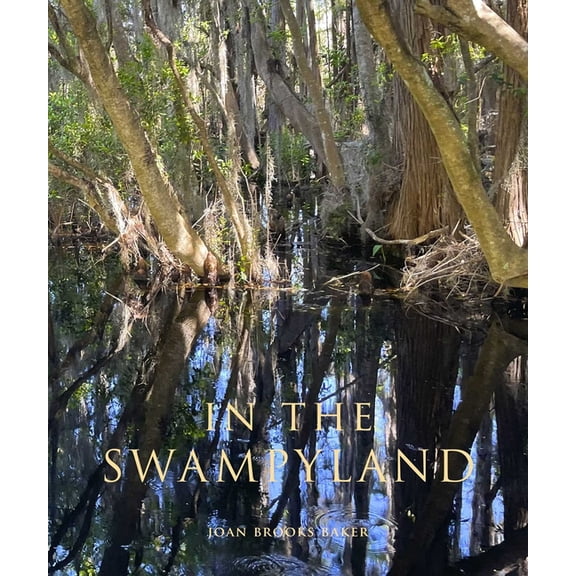 In the Swampyland, (Paperback)