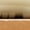 Beige, variant on A Pair of Men'S Casual Sports Shoes with a Breathable Upper And a Comfortable Soft Sole, Stylish And Versatile for Daily Wear, Leisure, Sports, Running, Outdoor Activities, And Suitable for Young