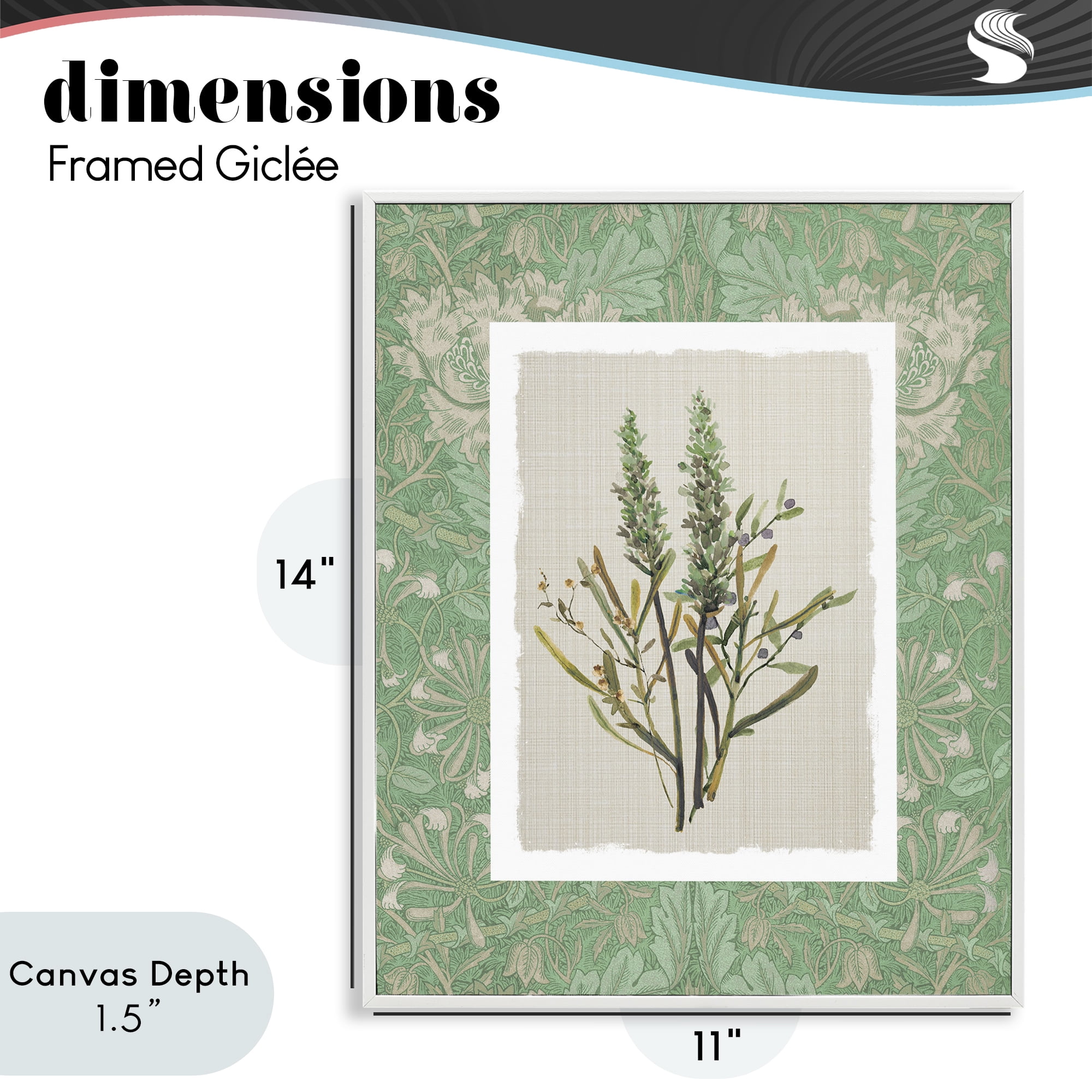 Stupell Industries Antique Foliage in Green White Framed Giclee Art, design by Carol Robinson