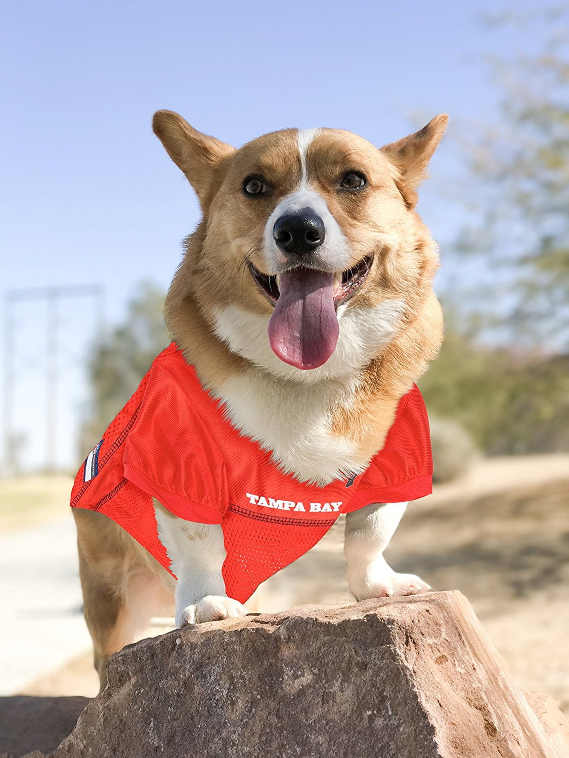 Pets First NFL Tampa Bay BuccaneersLicensed Mesh Jersey for Dogs and Cats - Extra Large