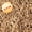 Brown, variant on DUOTAN Brown Crinkle Cut Paper Shred Filler (2.2 LB), Shredded Paper for Gift Basket Filler, Gift Wrapping, Crinkle Paper Decoration for Birthdays, Weddings, Anniversaries