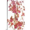 thumbnail image 1 of Great BIG Canvas | "Pink Orchid II" Canvas Wall Art - 16x24, 1 of 2