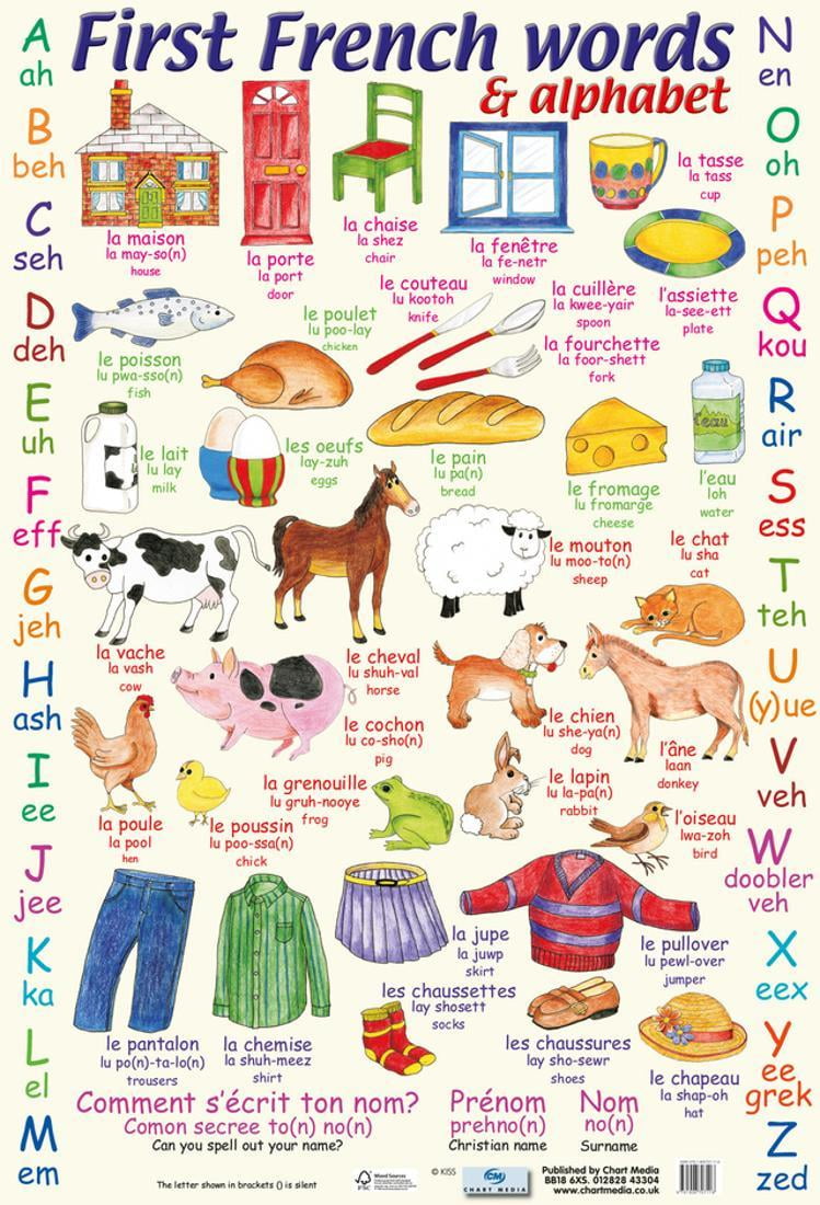 First French Words And Alphabet Poster 16x24