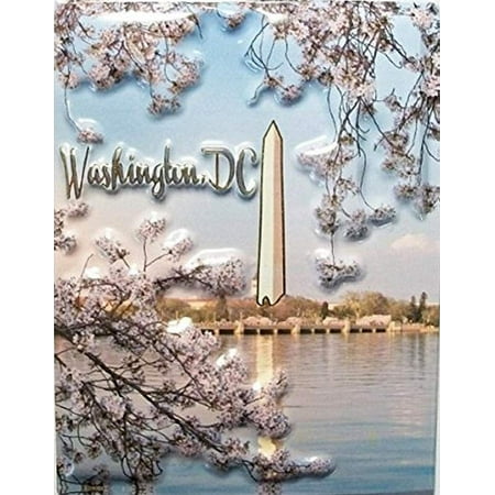 Washington DC Monument Fridge Magnet (Best Order To See Washington Dc Monuments)