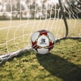 thumbnail image 5 of BALON DE FUTBOL SOCCER No. 5 MARCA LE SHARK, 5 of 5
