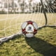 thumbnail image 5 of BALON DE FUTBOL SOCCER No. 5 MARCA LE SHARK, 5 of 5