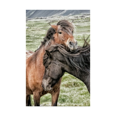 Trademark Fine Art 'Best Friends Horses' Canvas Art by Danny (Best Caballo Art Horse)