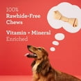 thumbnail image 4 of DreamBone Small Chews with Real Chicken, Rawhide-Free Chews for Dogs, 12 Count, 4 of 9