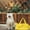 Yellow, variant on Dog Purse Carrier for Small Dogs Cats, Anti-Jumping Pet Carrier with Pockets, Soft-Sided Dog Carrier, Portable Dog Bag for Puppy Kitten,Sling Carrier Bag for Cats and Small Dogs