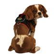thumbnail image 5 of Arnés de malla para mascotas con bolsa, 5 of 5
