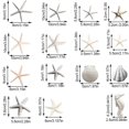 thumbnail image 3 of DVKOVI Mini Ocean Resin Animals Starfish Seashell Tiny Sea Models for Miniatures DIY Fish Tank Micro Landscaping E One Size, 3 of 5