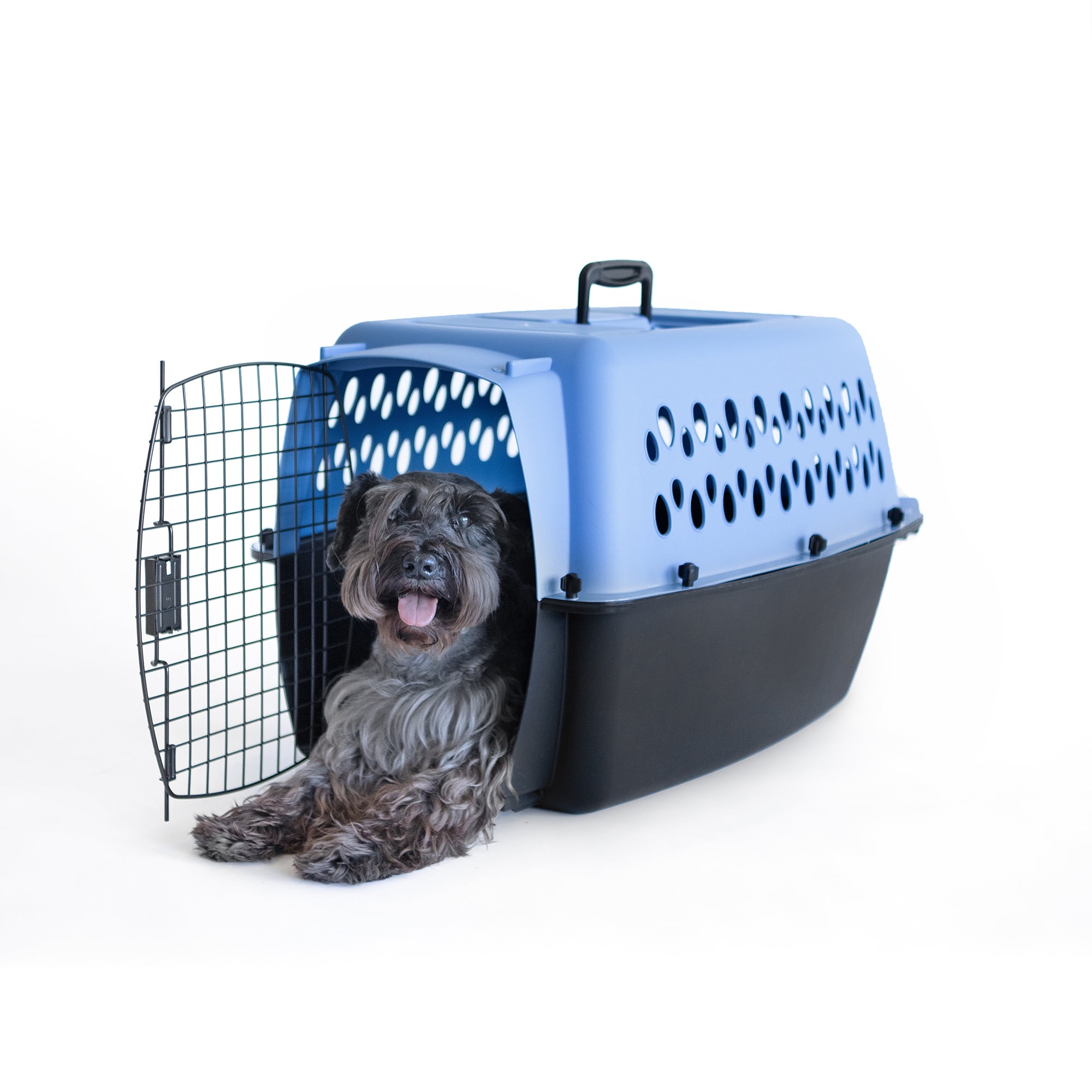 Petmate Pet Porter Fashion Travel Dog Kennel Portable Pet Carrier, Medium 26" for Dogs 20-25 lb, Blue