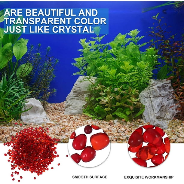 Pierres de rivière de 2,2 kg pour aquarium, galets décoratifs, pierres  naturelles polies de couleurs