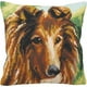 Rto Lassie – image 1 sur 1