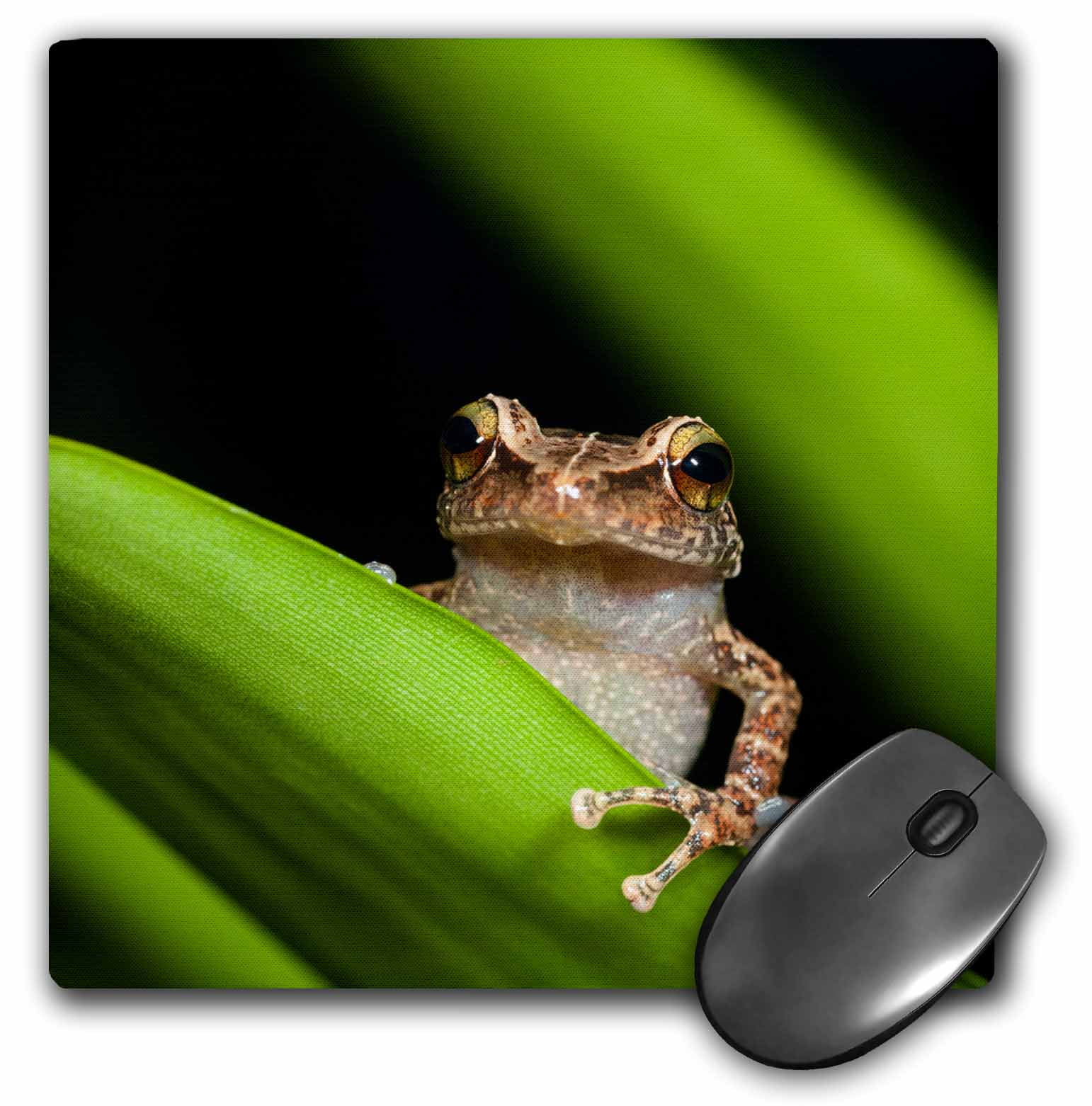 Puerto Rico Mouse Pad 