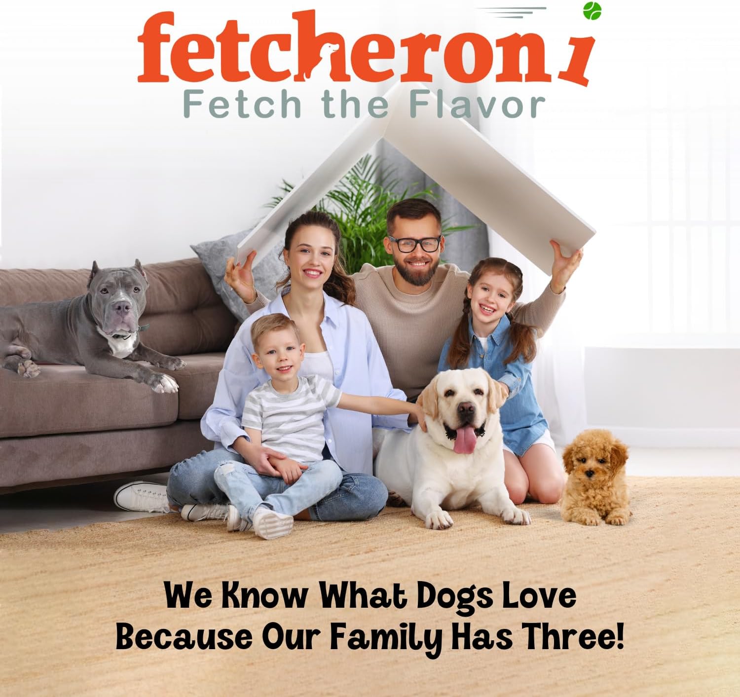 FETCHERONI Dog Chews Long Lasting Bully Stick and Rawhide Alternative. Healthy Beef Collagen Sticks for Dogs. 12 Inch Tasty Dog Treat That Your Dog Will Love. (10 Pack)