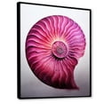 thumbnail image 2 of Designart "Marine Seashell Spiral In Vibrant Magenta" Nautilus Floater Framed Wall Art Prints, 2 of 5