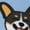 2 Black-1, variant on Corgi Dog Print Adult Socks for Men & Women,Calf Socks, Ankle Socks,Boots Socks,Breathable Casual Sock,Unisex Crew Socks