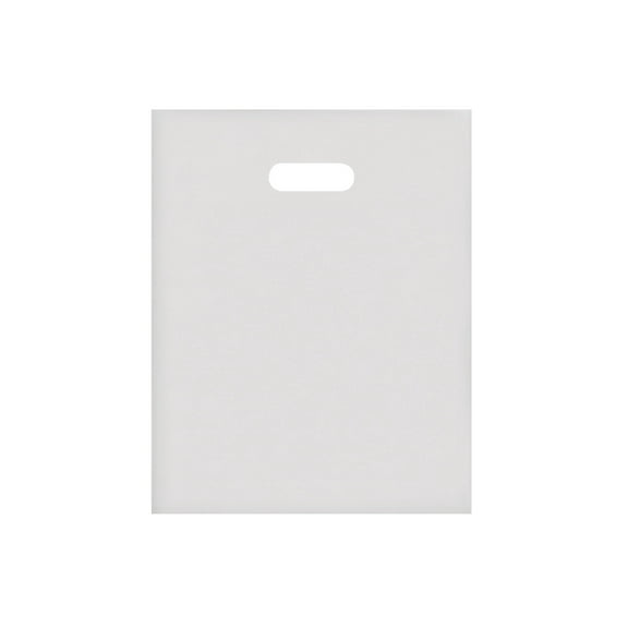 SSWBasics Medium Clear Frosted Plastic Merchandise Bags - 12” x 15” - Case of 250-
