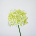 thumbnail image 6 of Littleplum Artificial Hydrangea Flowers Pure Green Heads,Fake Hydrangea Silk Flowers for Wedding Centerpieces Bouquets Floral Decor Home Decoration with Stems,Spring Decor,4x2x10 In,Green, 6 of 9