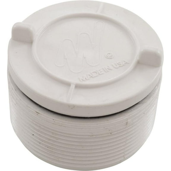 Hydrostatic Relief Valve, Waterway, 2" mpt, White