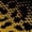 Cheetah, variant on Odd Sox – Skeleton Bones Big Kids Crew Socks – Ages 7–10 – Halloween Costume Socks – Spooky Novelty