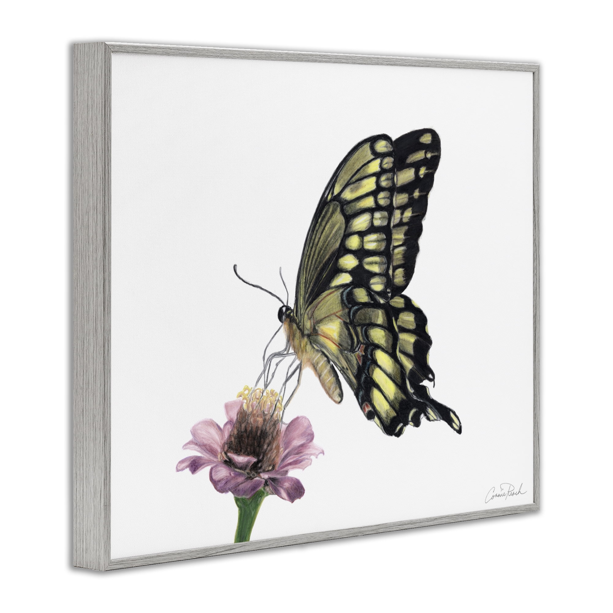Stupell Industries Minimal Butterfly & Flower Animals & Insects Painting Gray Framed Art Print Wall Art, 14 x 11