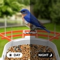 thumbnail image 6 of Smart Bird Feeder with Camera, AI Identify Bird Breed, Solar-Powered WiFi FHD 2K Live Camera, Auto Capture Backyard Garden Bird Watching, IP65,Motion Detection, Cloud and SD Card Storage, 6 of 14