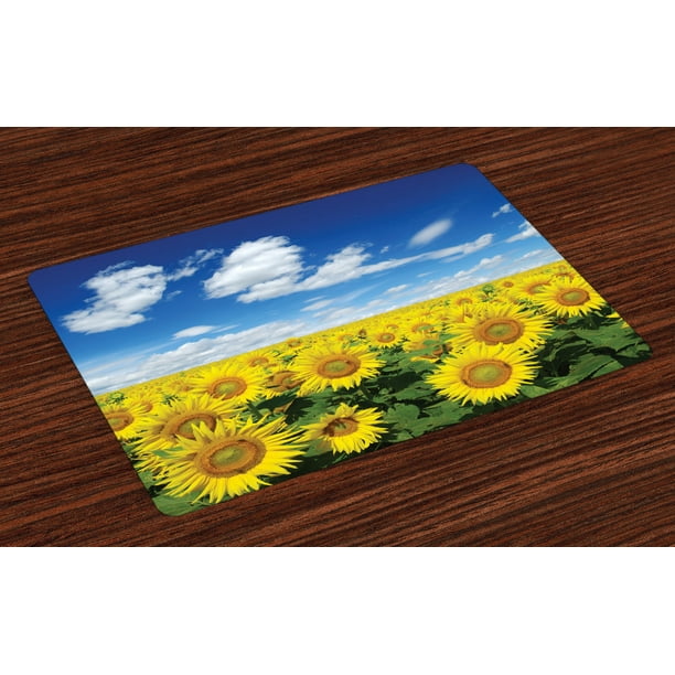 Sunflower Placemats Set of 4 Fresh Sunflowers Field under Clear Sky Clouds Countryside Farm