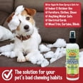 thumbnail image 4 of Spray disuasorio para masticar Bodhi Dog Bitter Apple 240 ml para perros, 4 of 6