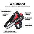 thumbnail image 3 of Pet Supplies Pet Leash Patch Reflective Breathable Adjustable Pet Strap, 3 of 4