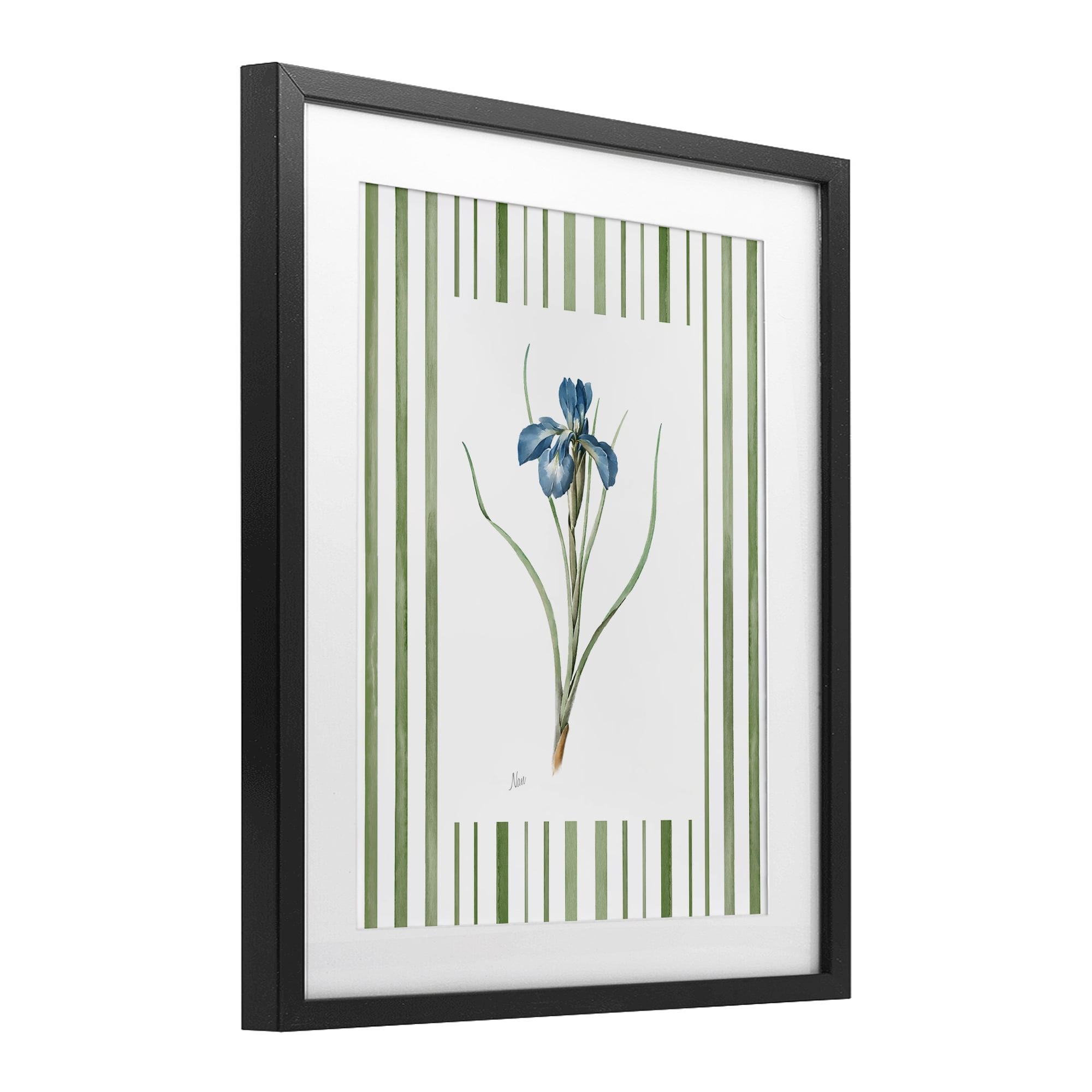 Stupell Industries Spring Iris And Stripes Black Framed Print Under Glass, design by Nan