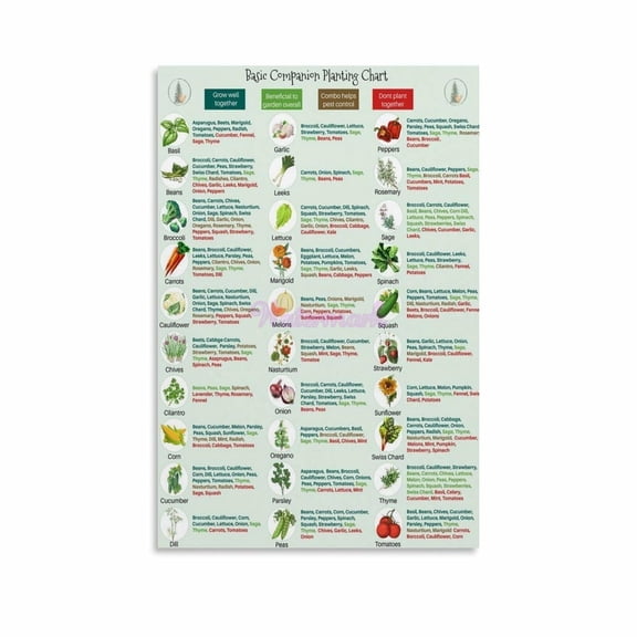 Basic Companion Planting Chart Garden Planting Posters Canvas Painting Posters And Prints Wall Art for Living Room Bedroom Decor Poster.