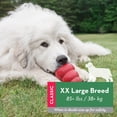 thumbnail image 2 of Dog Toy KONG Classic XXL con mantequilla de cacahuete en aerosol Easy Treat, 2 of 8