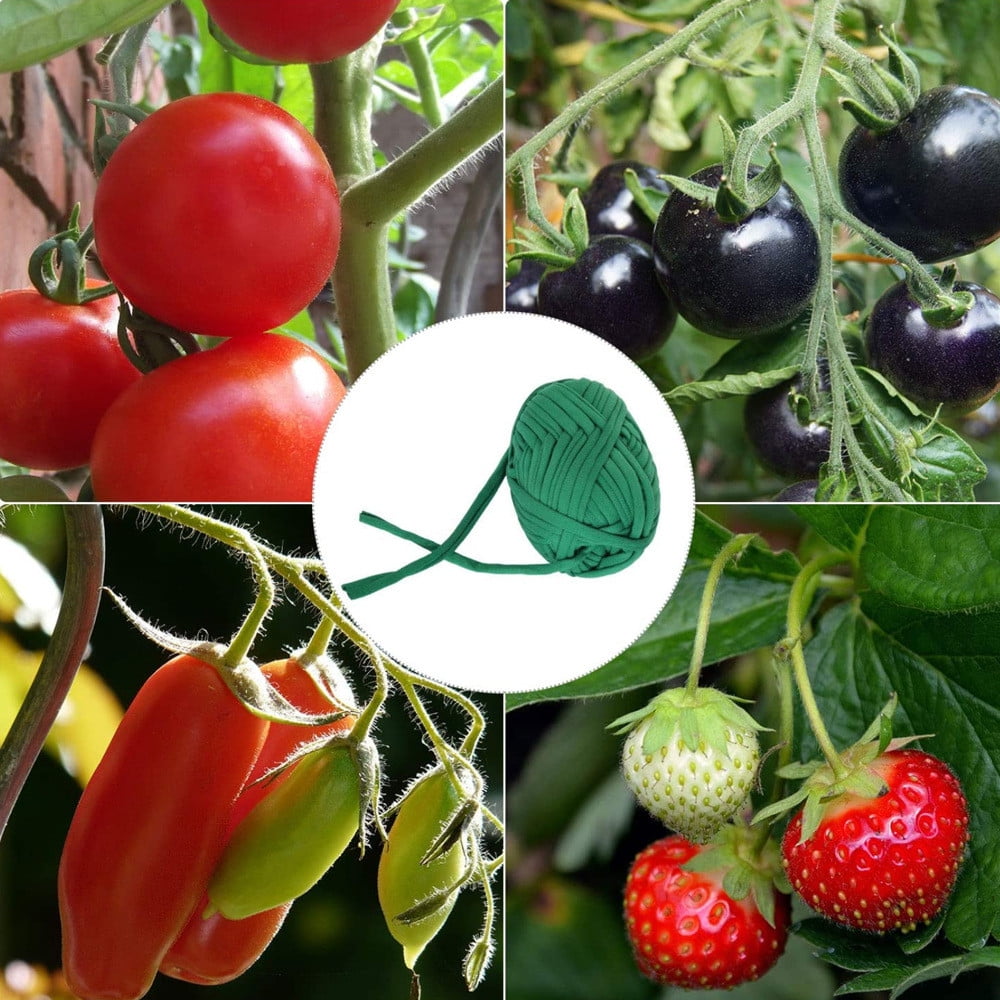 Rouleau De Ficelle De Jardin 30 M X 2 Cm - Cordon Vert Pour Attacher Plantes, Légumes, Arbres, Résistant Aux UV - 13