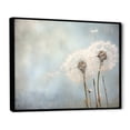 thumbnail image 2 of Designart "Dandelion Still Life In White Farmhouse" Dandelion Floater Framed Canvas Prints, 2 of 5