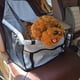 thumbnail image 4 of Bolsa de asiento del portador Wdftyju asiento de coche plegable para perros y gatos gris, 4 of 9