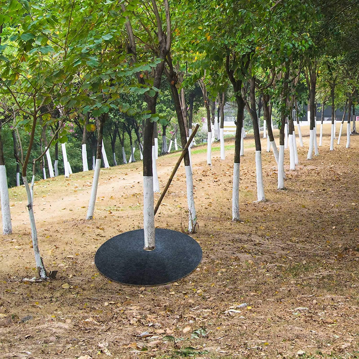 XIOP Tree Rings Landscaping, 24 Inch Non-Woven Fabric Tree Protector Mat Plant Cover, Mulch for Landscaping Weed Control and Root Protection, Indoor Outdoor Gardening Supplies-240524