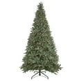 thumbnail image 2 of Northlight Real Touch™ Pre-Lit Medium Granville Fraser Fir Artificial Christmas Tree - 9' - Clear, 2 of 8