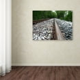 thumbnail image 4 of Trademark Fine Art "Guided Journey" Canvas Art by Monica Fleet, 4 of 4