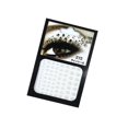 thumbnail image 1 of EeaseCA Face Jewels Bindi Body Jewelry Stickers Rhinestone Temporary Face Rocks (1), 1 of 5
