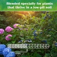 thumbnail image 3 of Down To Earth All Natural Fertilizers Organic Acid Mix - Plant Food for Blueberries, Raspberries, Azaleas and Rhododendrons 4-3-6, 5 lb, 3 of 9