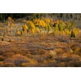 thumbnail image 2 of Jones, Adam 24x17 Gold Ornate Wood Framed with Double Matting Museum Art Print Titled - Autumn view of willows and aspen groves-Grand Teton National Park-Wyoming, 2 of 4