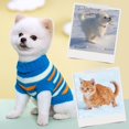 thumbnail image 5 of asddcavvf Pet Small Dog Teddy Dog Clothing Winter Clothing Spring Clothing Autumn Clothing Knitted Striped Thermal Vest Pet Clothes for Small Dogs Boy Pet Clothes Hangers for Small Dogs Pet Clothes Ha, 5 of 5