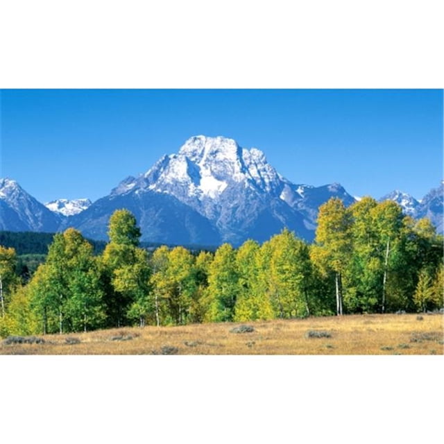 Biggies, Inc. WW-MTN-100 Window Well Scenes - Mountain-100