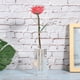 thumbnail image 4 of Base de Flor Rosa Transparente Soporte de Exhibición de Acrílico Rectangular Adorno de Decoración de Habitación en Casa ANGGREK Otros, 4 of 8