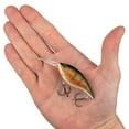 thumbnail image 2 of Berkley Money Badger, 6.25, Perch, 2 of 11