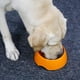 thumbnail image 3 of Cuenco antiglotón para perro gato, cuenco de alimentación antideslizante que promueve una ingesta de alimentos más lenta, cuenco interactivo de melamina antihinchazón (naranja M) JM, 3 of 5